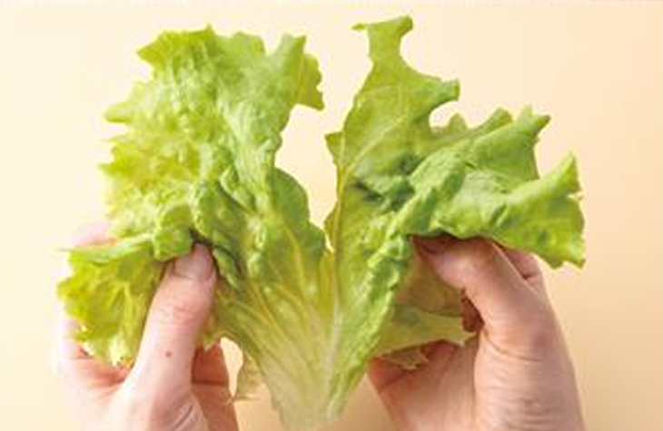 葉・葉物