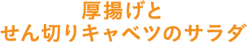 厚揚げとせん切りキャベツのサラダ