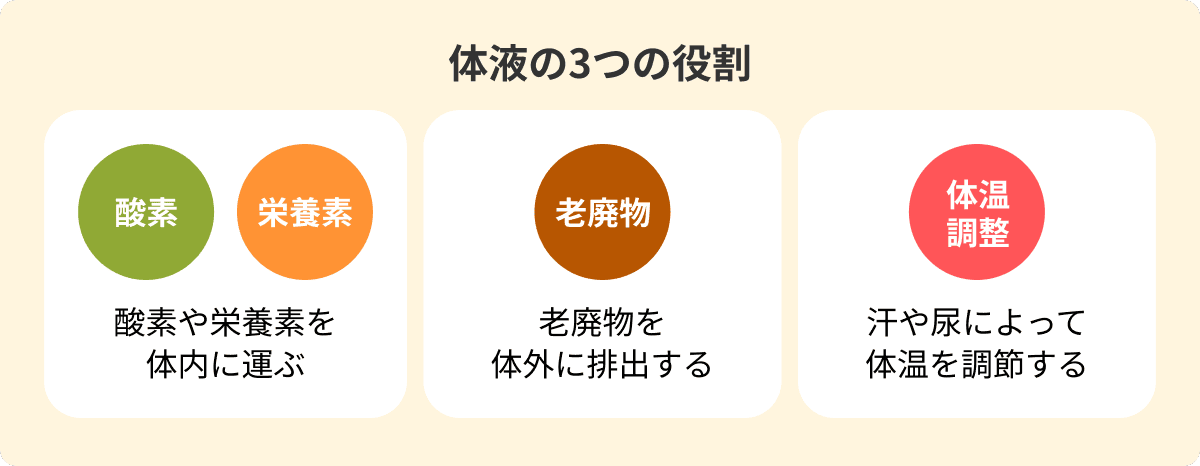 体液の3つの役割: 酸素・栄養素を体内に運ぶ / 老廃物を体外に排出する / 汗や尿によって体温を調節する